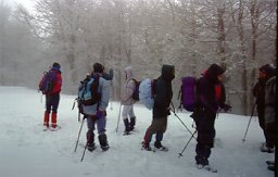 Taldea lainopean Abodi Mendian