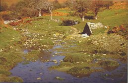 Otsola zelaiko iturburua