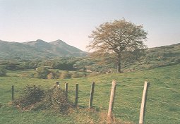 Erratzu inguruak. Gibelean, Alkurruntz mendia. Klik egin handiago ikusteko