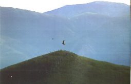 Mendimotxarako bidean