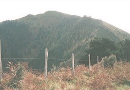 Urko Barinagatik ikusia