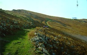 Larlako leporako bidean