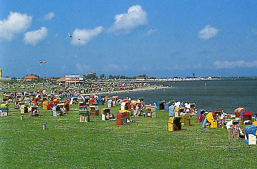 plage_verte