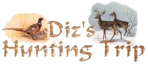 Welcome to Diz's Website