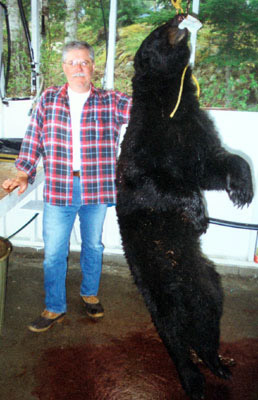 bear1