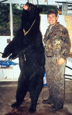 bear2