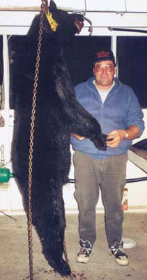 bear4