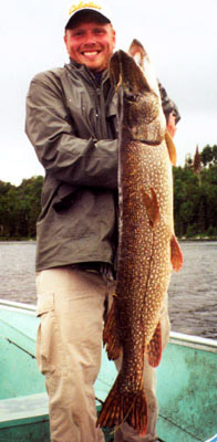 fish1
