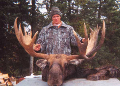 moose1