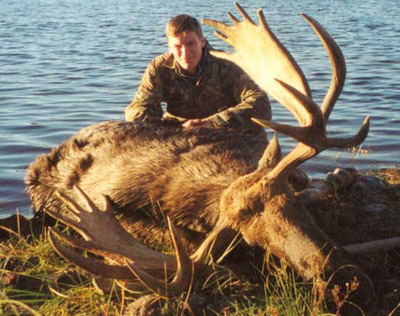 moose4