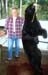 bear1