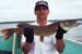 fish14