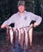 fish17