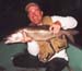 fish4