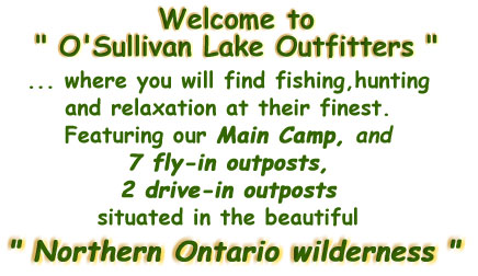 Osullivan_Lake _outfitters_Northern_ontario_canadian_fishing