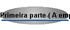 Primeira parte-( A empresa virtual)