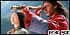 crouching tiger hidden dragon, a fanlisting