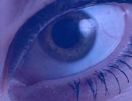 eye