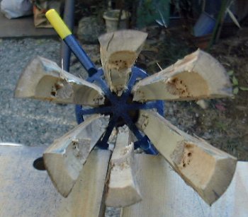 bamboo2.jpg
