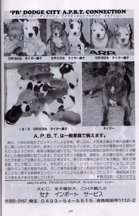kenotomo.jpg - 114022 Bytes