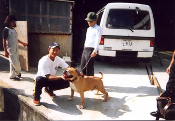 pitjp7.jpg - 54625 Bytes