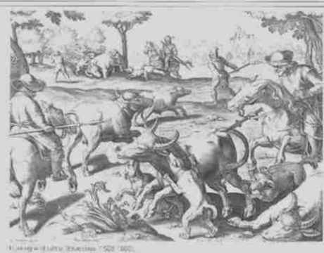 raca_historia_02.jpg - 18945 Bytes