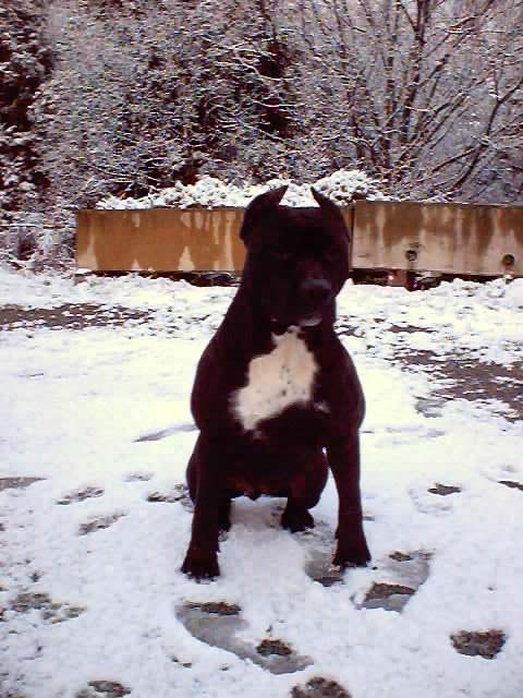snapshot_0014.JPG - 65302 Bytes