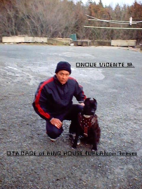 ukla.jpg - 81404 Bytes
