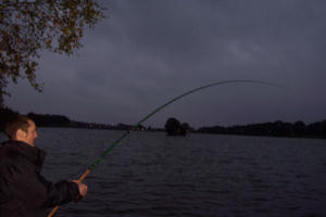 (approx) 3lb mirror carp (John)