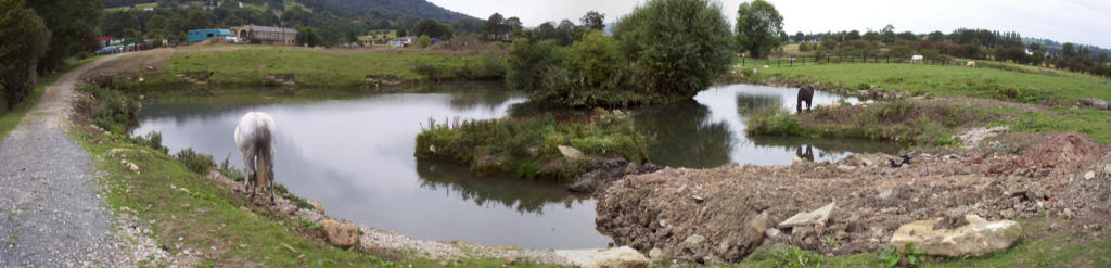 Tom's Pond (1) 19-09-2002