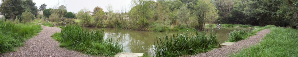 Weeton Lake (2) 08-10-2002