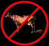 No bullshit!