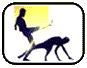 Capoeira