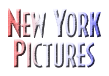 Our New York Trip pictures!