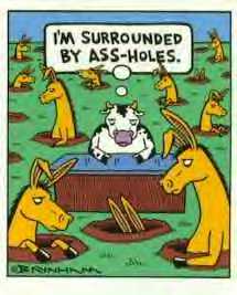 I'm Surrounded By Ass-holes