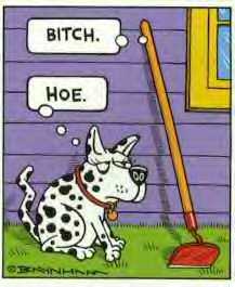 Bitch & Hoe