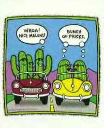 Melons & Pricks