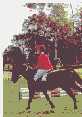 Lap of Honour