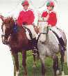 Horsey Friends