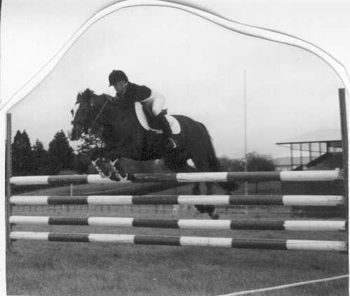 110 cm Showjumping
