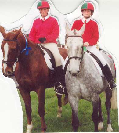 Horsey Friends