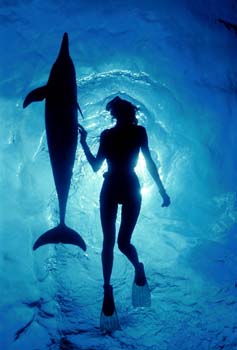 image of swimmer with dolphin here