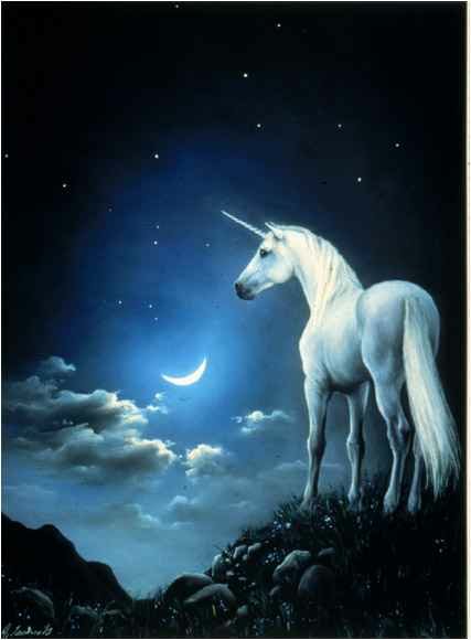 Image of Unicorn bathed in moonlight here