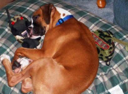Gunner with his Army toys!