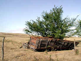 Wagon on Johnson farm