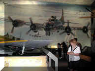 Air and Space War Bird display