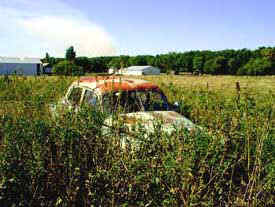 Pontiac heaven
