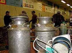 Lisbon auction ~ good stuff!