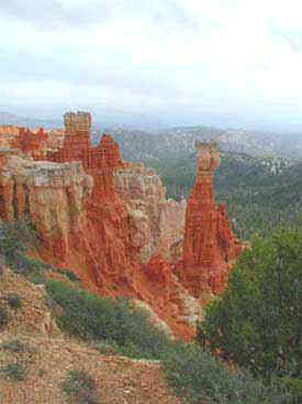Bryce Canyon Hoodoos