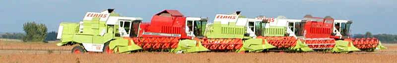 Combines in a MN soybean field